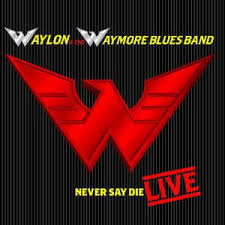 Waylon Jennings - Never Say Die Live