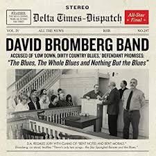 David Bromberg Band - The Blues The Whole Blues And Nothing But The Blues