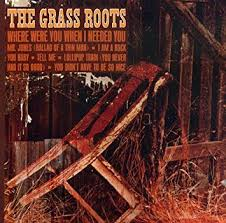 Grass Roots - Where Were You When I Needed You