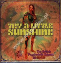 Various-Try-A-Little-Sunshine:-British-Psychedelic-Sounds-Of-1969-(3-cd)